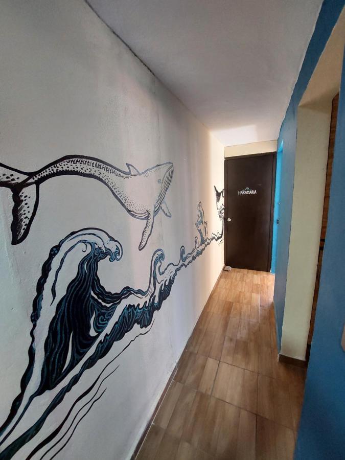 Venado 28 Albergue Cancún Exterior foto