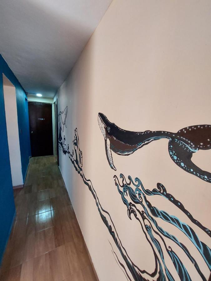 Venado 28 Albergue Cancún Exterior foto